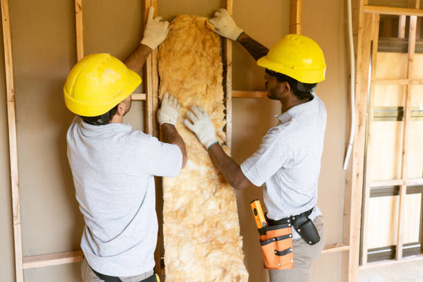 Best Crawl Space Insulation in Shelby, MS